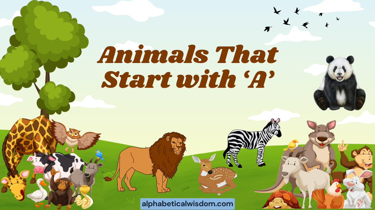 Animals That Start with A