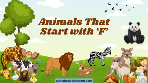 Animals That Start with F