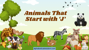 Animals That Start with J