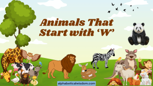 Animals That Start with W