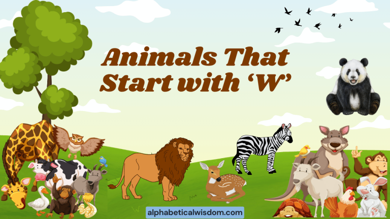 Animals That Start with W