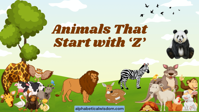 Animals That Start with Z
