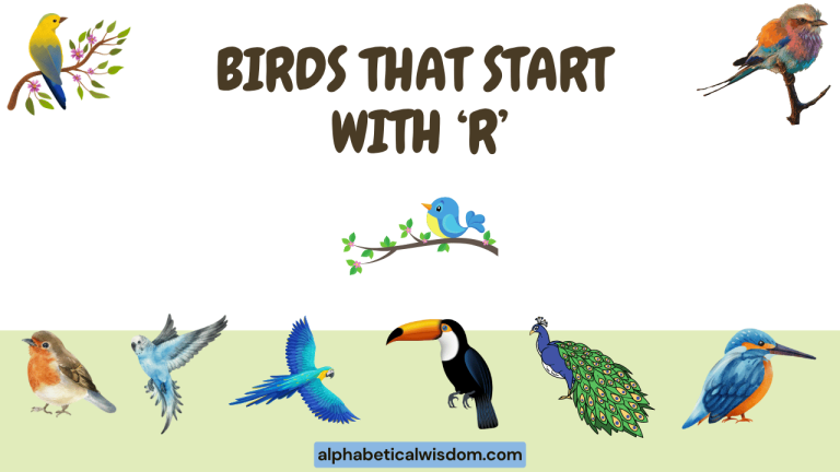 Birds That Start with R