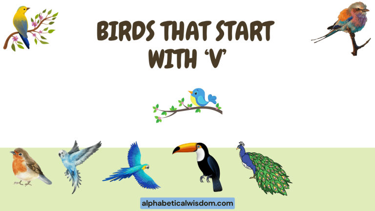 Birds That Start with V