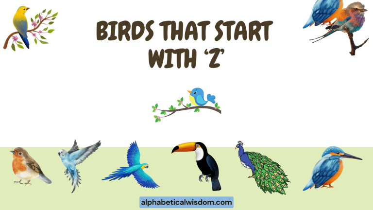 Birds That Start with Z