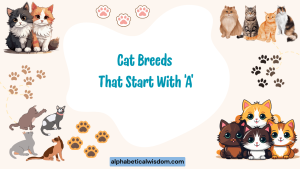 Cat Breeds That Start with A