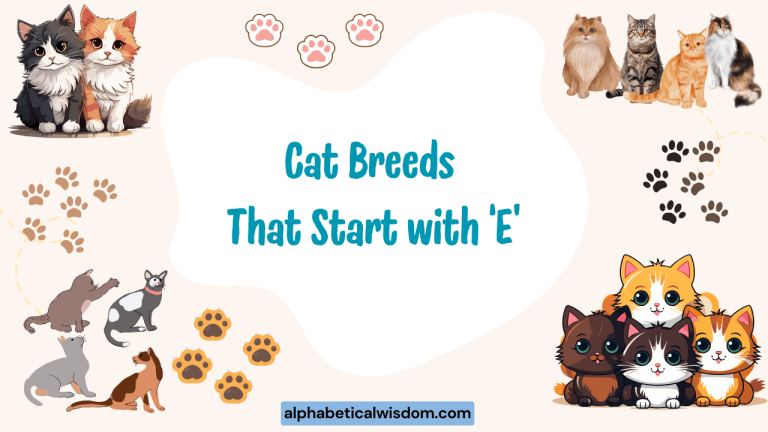 Cat Breeds That Start with E