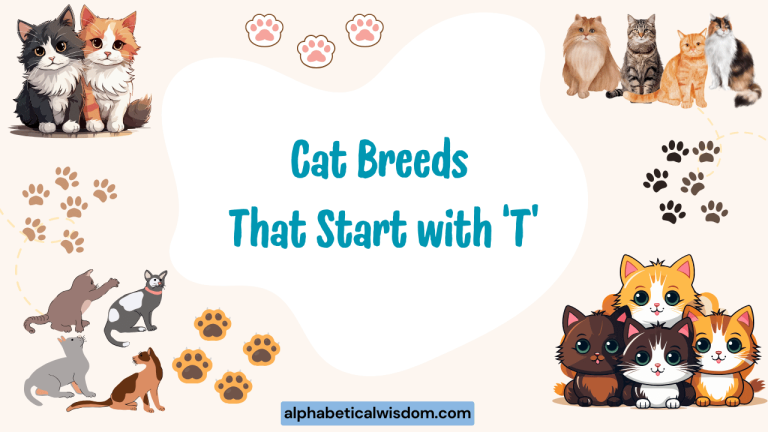 Cat Breeds That Start with T