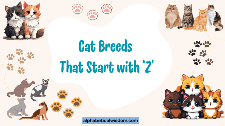 Cat Breeds That Start with Z
