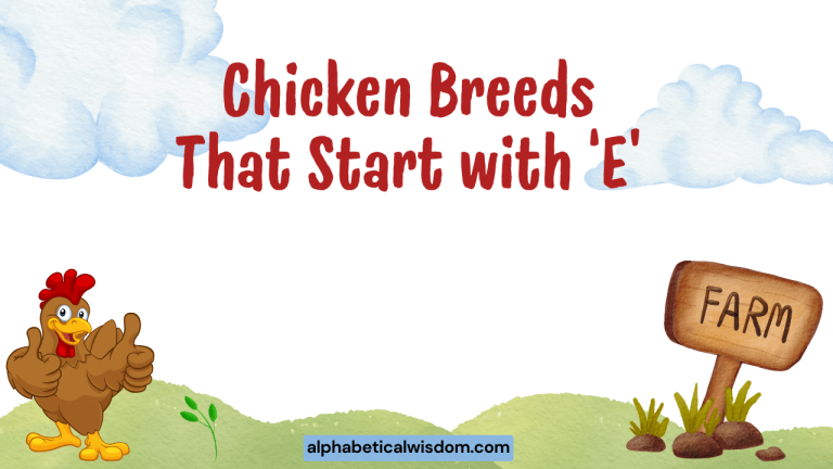 Chicken Breeds That Start with E