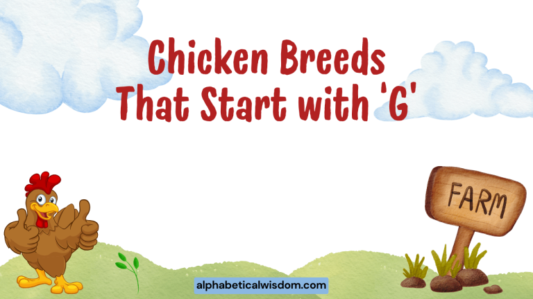 Chicken Breeds That Start with G
