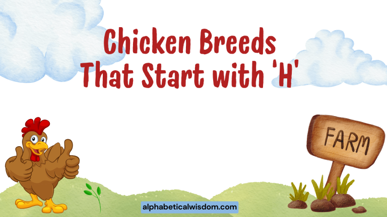 Chicken Breeds That Start with H