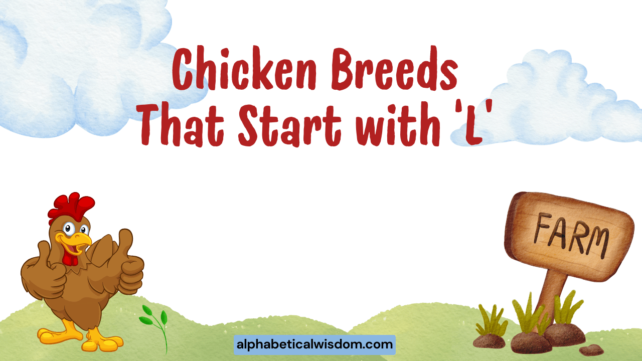 Chicken Breeds That Start with L