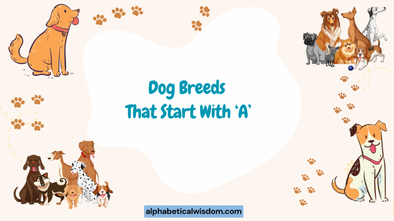 Dog Breeds That Start with A