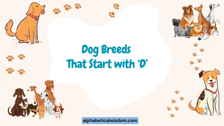 Dog Breeds That Start with D