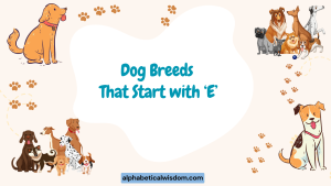 Dog Breeds That Start with E