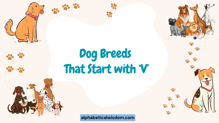Dog Breeds That Start with V