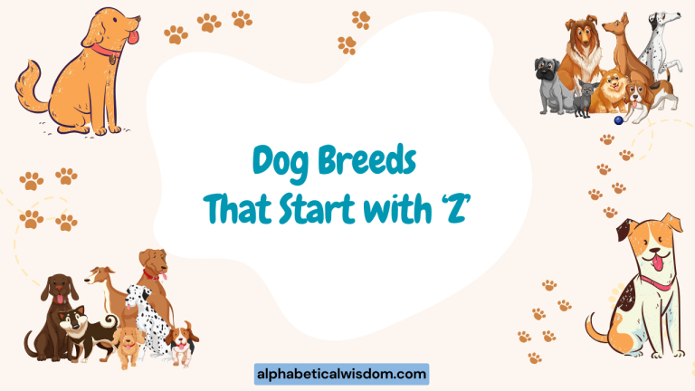Dog Breeds That Start with Z