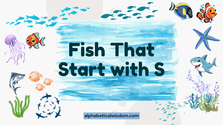 Fish That Start with S