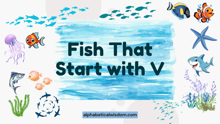 Fish That Start with V