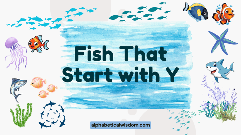 Fish That Start with Y