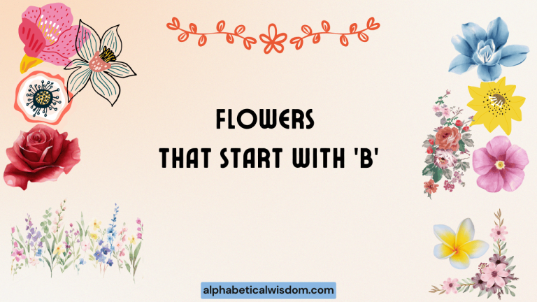 Flowers That Start with B