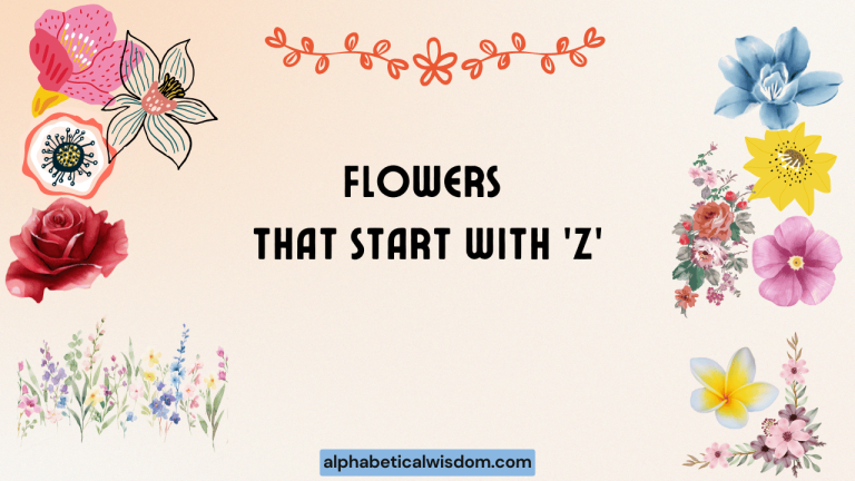 Flowers That Start with Z