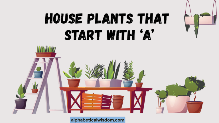 House Plants That Start with A