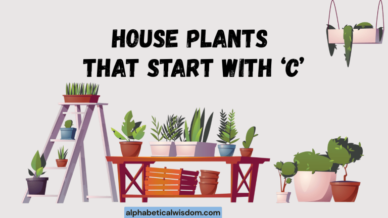 House Plants That Start with C