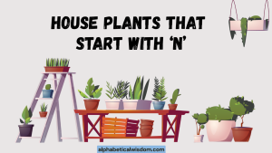 House Plants That Start with N