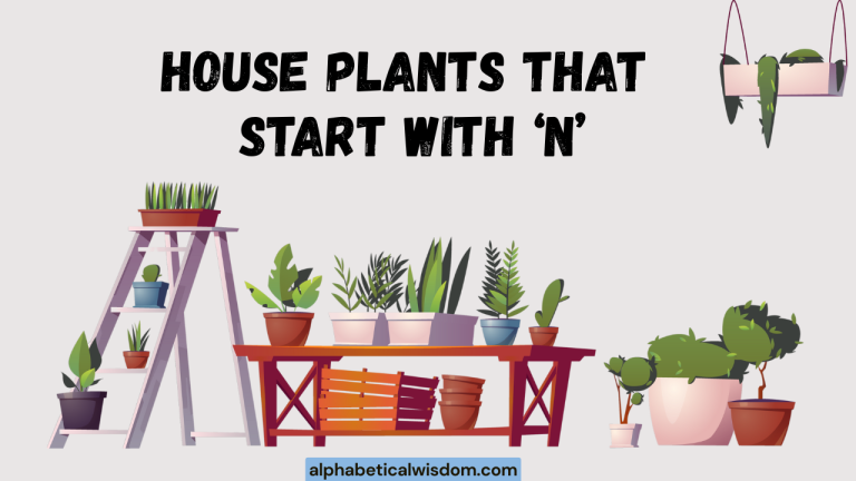 House Plants That Start with N