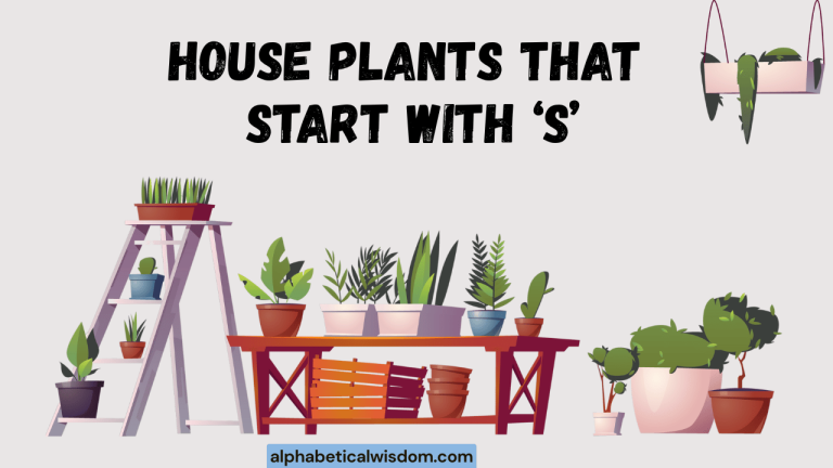 House Plants That Start with S