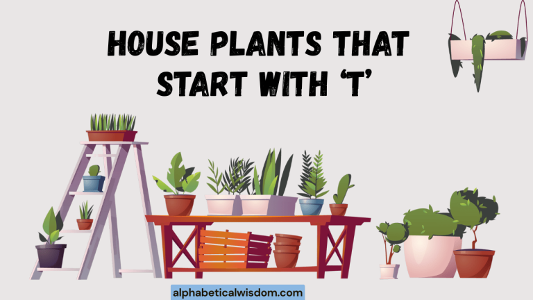 House Plants That Start with T