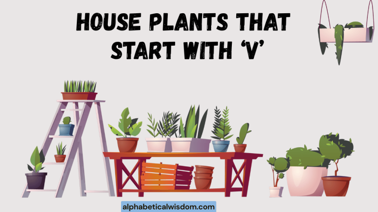 House Plants That Start with V