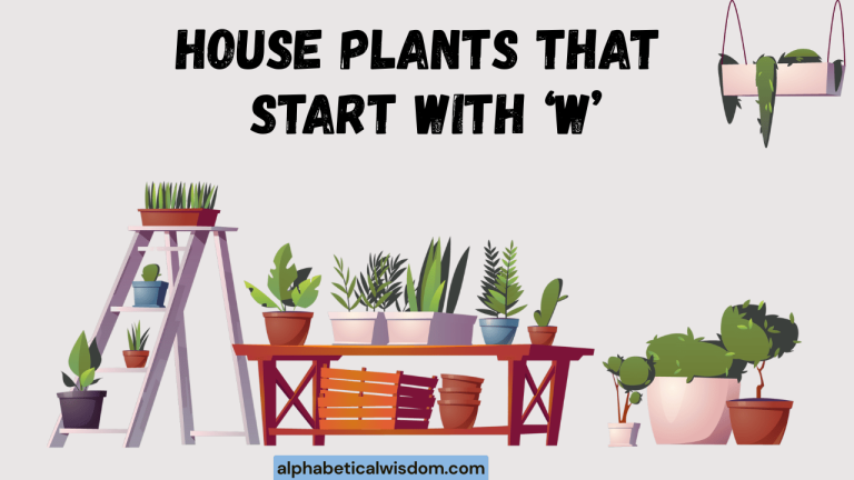 House Plants That Start with W
