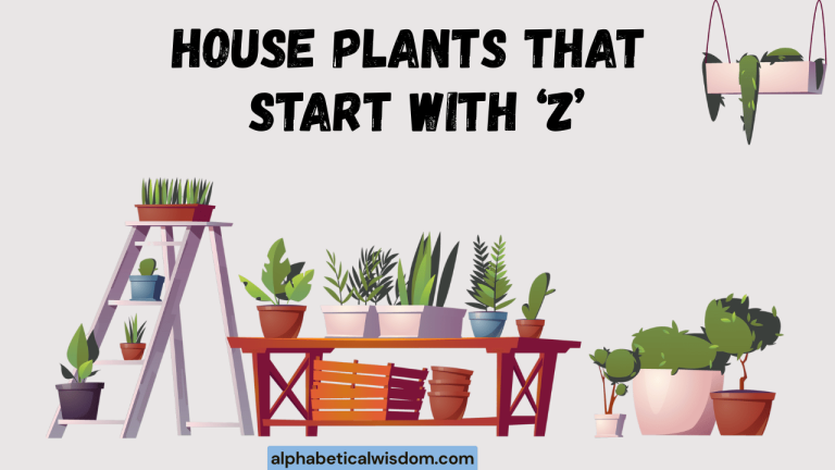 House Plants That Start with Z