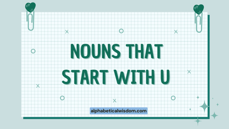 Nouns That Start with U