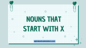 Nouns That Start with X