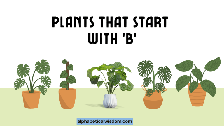 Plants That Start with B