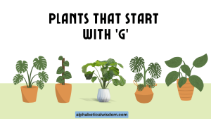 Plants That Start with G