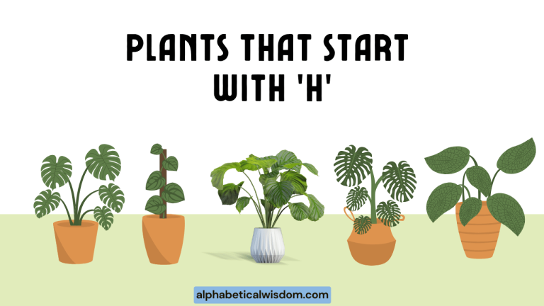 Plants That Start with H