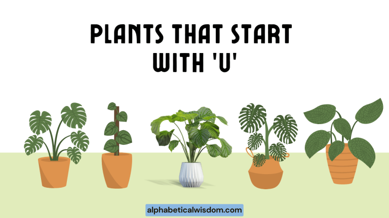 Plants That Start with U