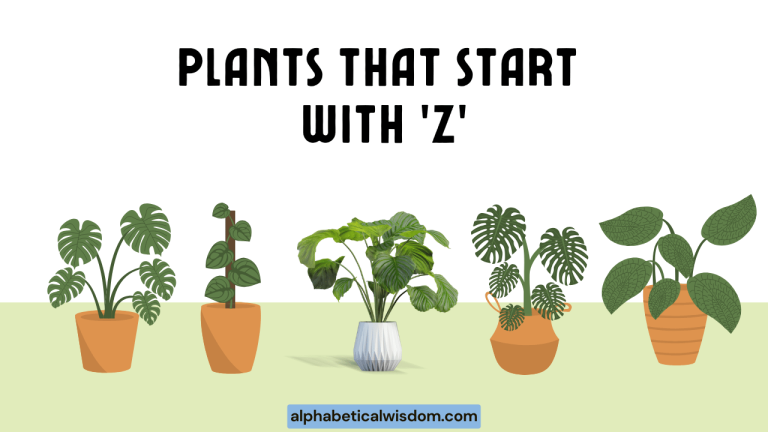 Plants That Start with Z