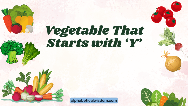 Vegetable That Starts with Y