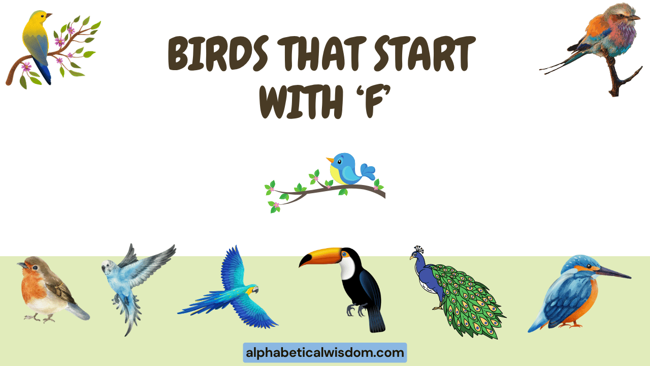 Birds That Start with F
