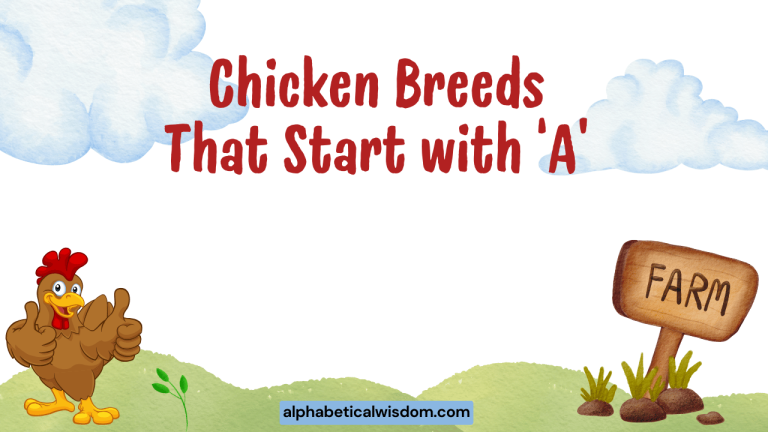 Chicken Breeds That Start with A