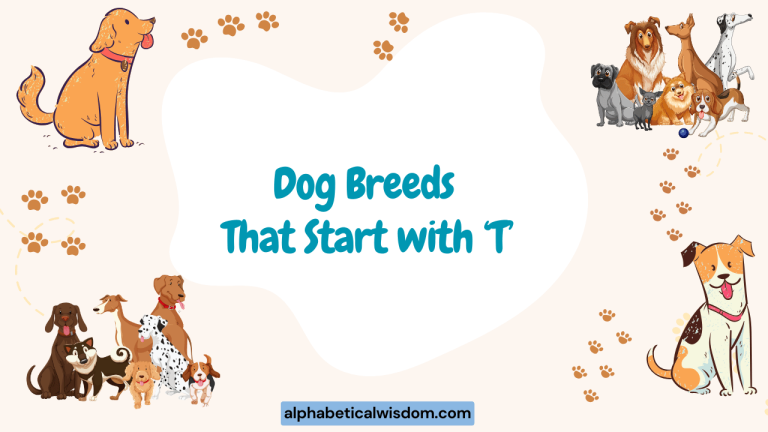 Dog Breeds That Start with T