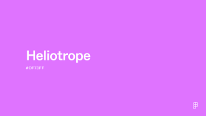 Heliotrope color